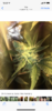 D44C0422-4A10-4191-AC80-634FACF6D209.png