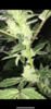 BF5FFF0C-CE18-434F-975A-2118D8812613.png