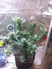 IMG_20200921_082157160.jpg