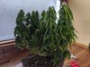 IMG_20200925_144222.jpg