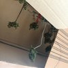IMG_20200927_012341.jpg