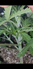 Screenshot_20200929-015551.png