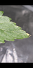 Screenshot_20200929-015423.png