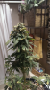 ForumRunner_20130616_201017.png