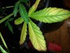 20130616_234447.jpg