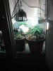 IMG_20130616_231106_391.jpg