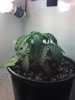 IMG_20130616_231429_978.jpg