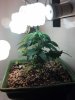 IMG_20130616_231449_721.jpg