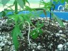 LST Pics 006.jpg