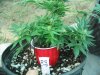 LST Pics 004.jpg