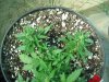 LST Pics 005.jpg