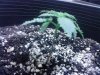 IMG_20130617_164022.jpg