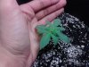 IMG_20130617_164030.jpg