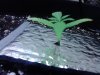 IMG_20130617_164040.jpg