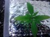 IMG_20130617_164044.jpg