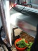 DSC03869.jpg