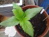 20130618_211518.jpg