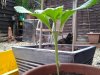 20130618_211444.jpg