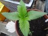 20130618_211458.jpg