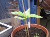 20130618_211430.jpg