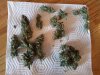 20130618_165925.jpg 20130618_165925.jpg