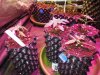 DSCN5423.jpg