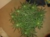 20130619_200600.jpg