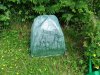 DSCF0572.jpg
