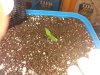 20130619_134631.jpg