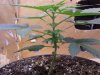 20130617_165545.jpg