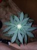 20130619_191133.jpg
