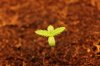 GSC_6-19-13.jpg