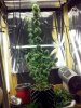 2013-06-20_07-48-50_802.jpg