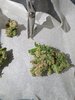 20201003_082021.jpg
