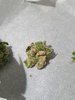 20201003_082338.jpg