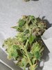 20201003_082357.jpg
