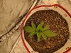 IMG_20201005_180057.jpg