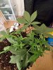 20201007_190445.jpg