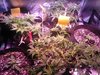 IMG_20201009_205227.jpg