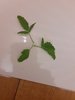 20201011_211134.jpg