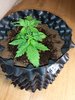 20201009_181630.jpg