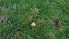 DSCN6507 (FILEminimizer).JPG
