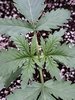 20201020_121517.jpg