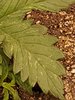20201021_093354.jpg