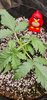 20201022_115600.jpg