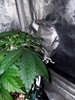 IMG-20201022-WA0022.jpg