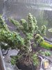 IMG_20201026_105839874.jpg