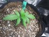20201025_235854.jpg 20201025_235854.jpg