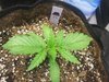 20201025_235831.jpg 20201025_235831.jpg