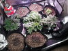 20201029_221523.jpg